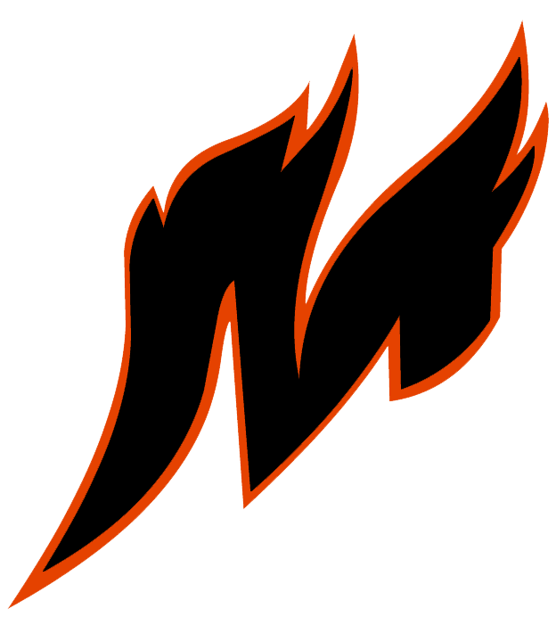 Metallurg Novokuznetsk 2008 Primary logo iron on heat transfer